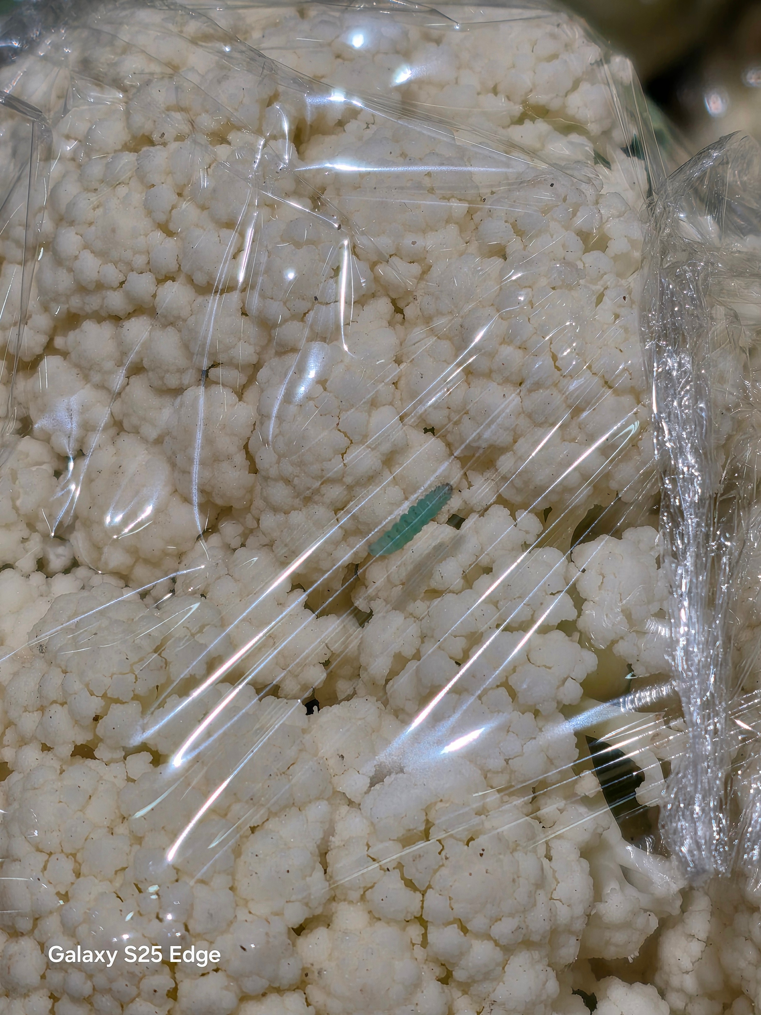 i冰宇宙[超话]网友们，这个菜花，我该不该买 ​​​