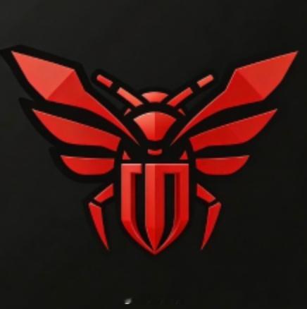 嗡嗡嗡，嗡嗡嗡……成都蓉城中超联赛