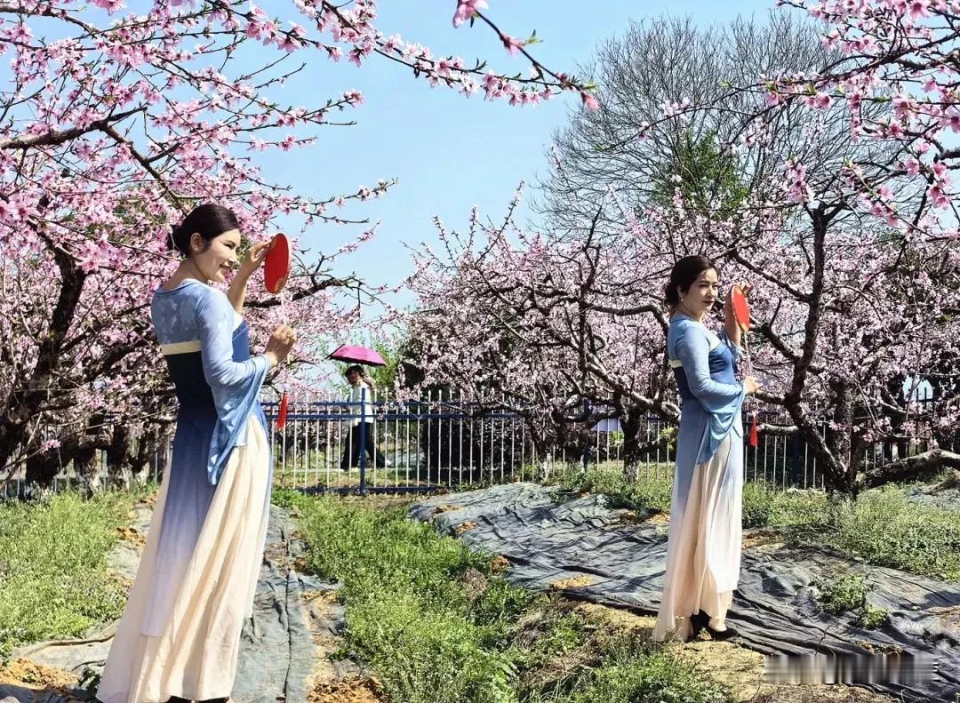 孝昌县第四届桃花节开幕

3月22日上午，“赏十里桃花·游孝道之乡”孝感市孝文化