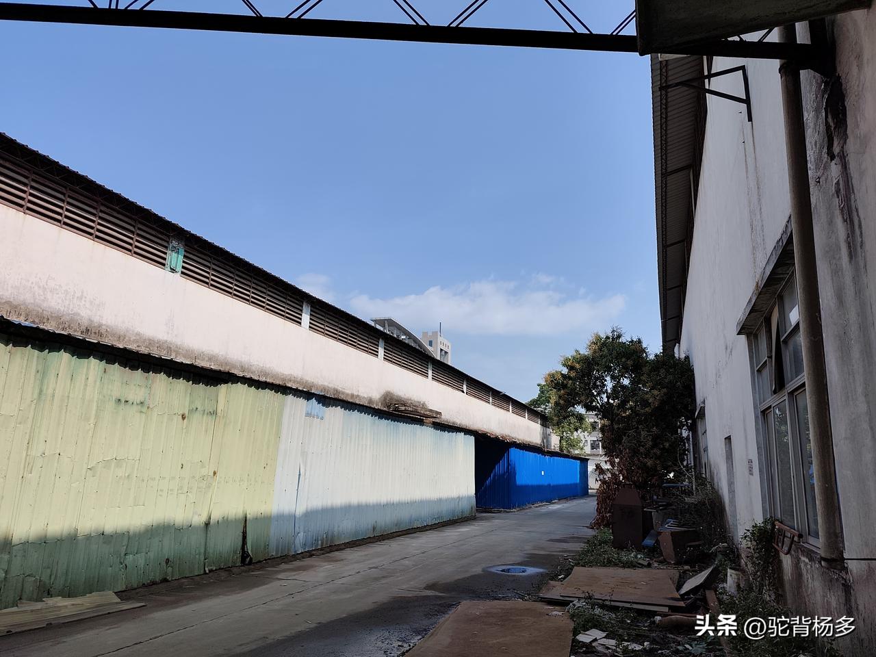 新年生活图鉴2月28日上班至3月4日一直下雨，3月日出太阳了，忽然感觉很好，终于