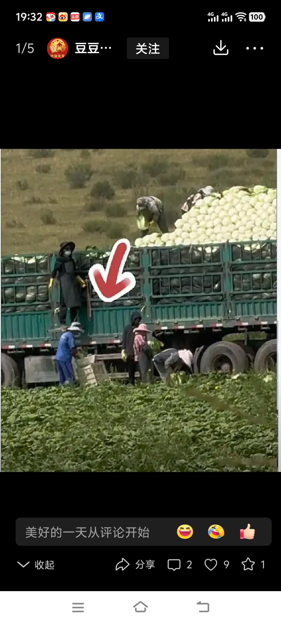大白菜地里将根部櫵上甲醛再装车，运往外省。在河北省张家口康保县发生蔬菜投毒事件，