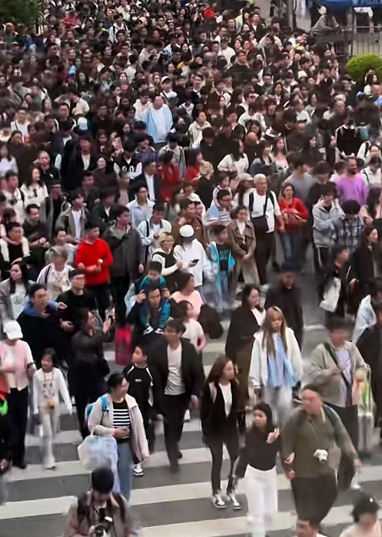 清明节假期到上海南京路人山人海，但秩序井然，一点都不混乱！我国公民的素质已经有了