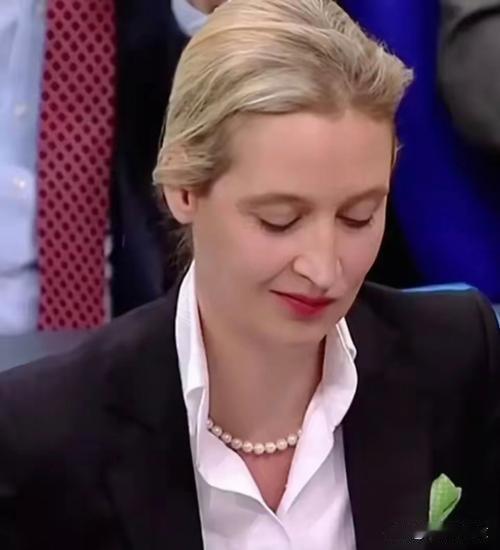 默茨支持率持续走低：是否意味着魏德尔的机会来了！

近日，德国在联合国安理会非常