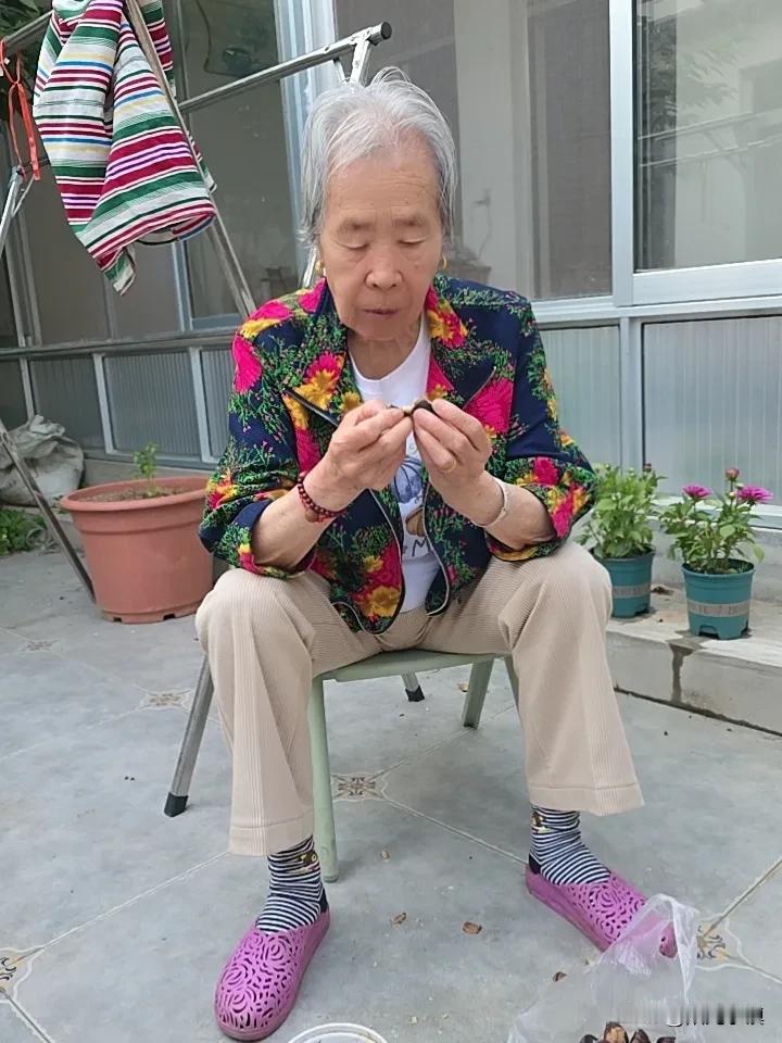 今天晚饭太丰盛了，两个硬菜，有婶子的小豆沫和卷子，还有三嫂的油饼……

两个硬菜