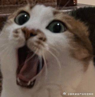 和曾经的荒推友友出来吃饭，手舞足蹈和她说师生的美味友友：啊？你居然吃月老师当0吗