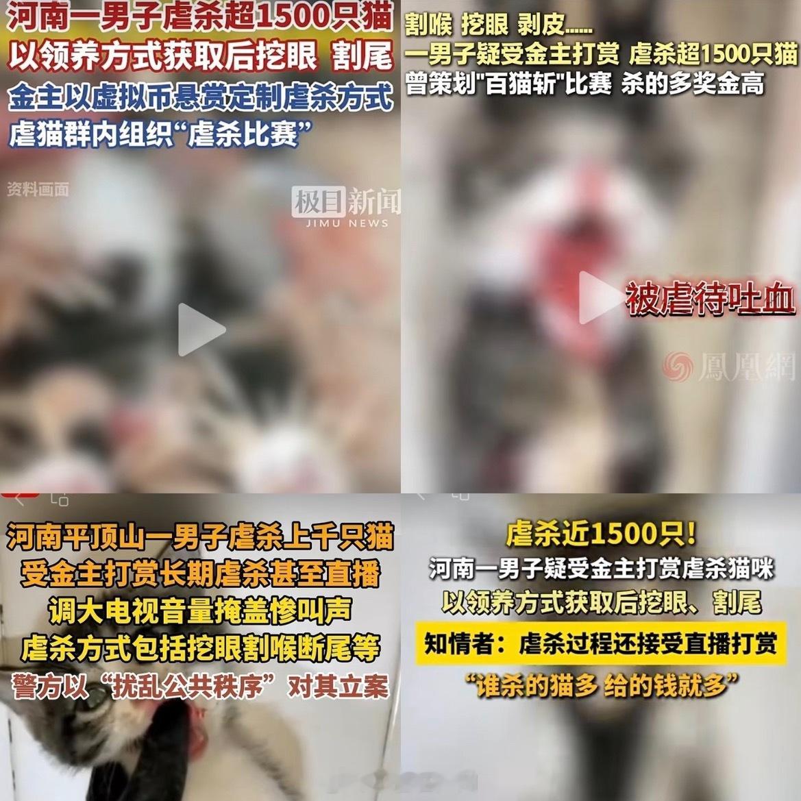 37岁男子4年虐杀超1500只猫一个37岁的男人，4年超过1500只猫。这不是普