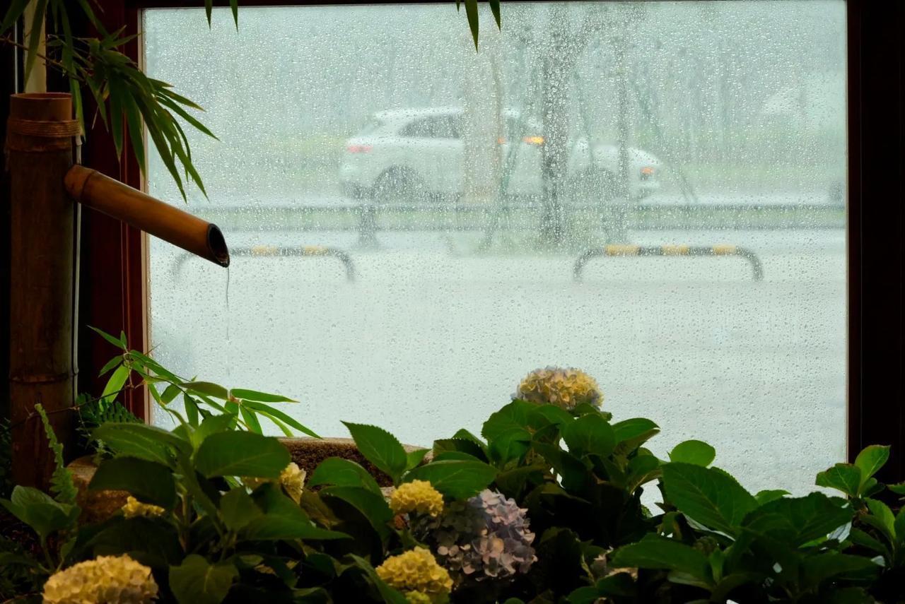 秋风从何起

若问秋风从何起
缕缕有根底，轻抚树
叶不语，霜花浮草秋雨泣
些许惆