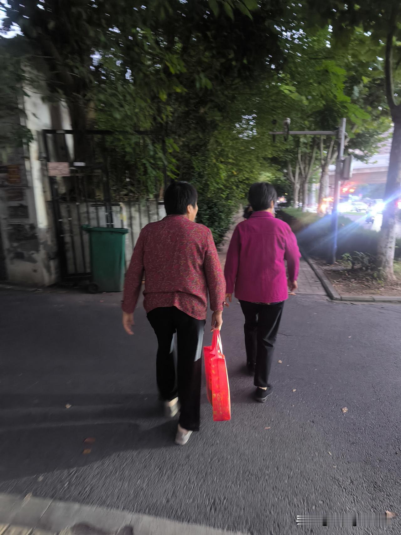 饭后结伴散步的两姐妹
   在小区门口又撞见年近八十的一对老姐妹正沿着人行道慢慢