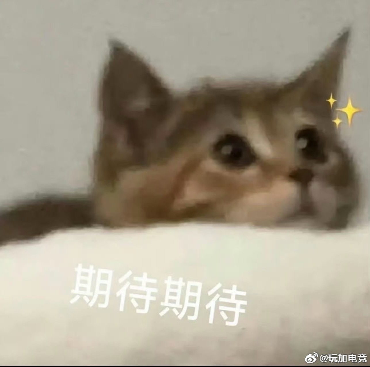 玩加专访 预告今天我们将有机会采访到NIP的Zhuo选手，大家有什么想问的问题吗