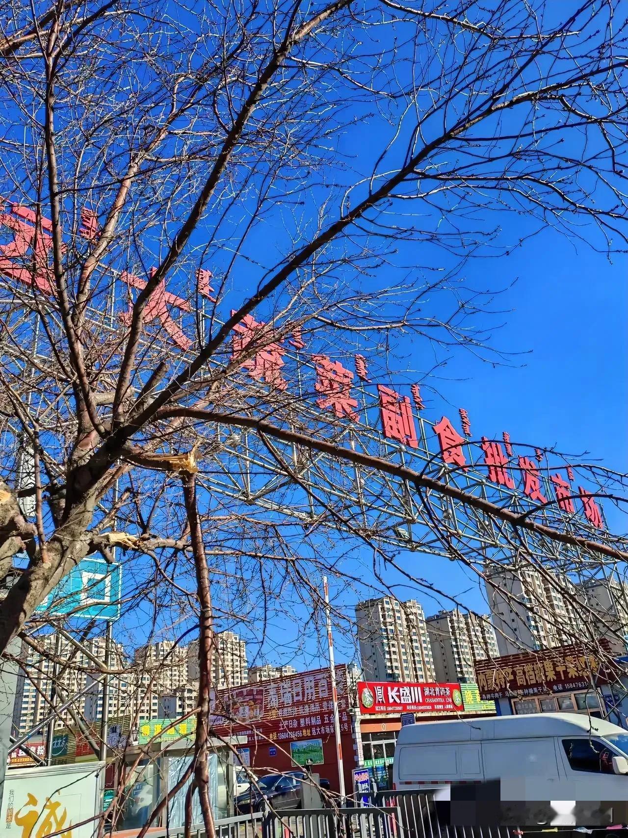 今儿个咱来聊聊包头市东河区远大蔬菜批发市场。那场面，可热闹啦。市场内摊位密密麻麻