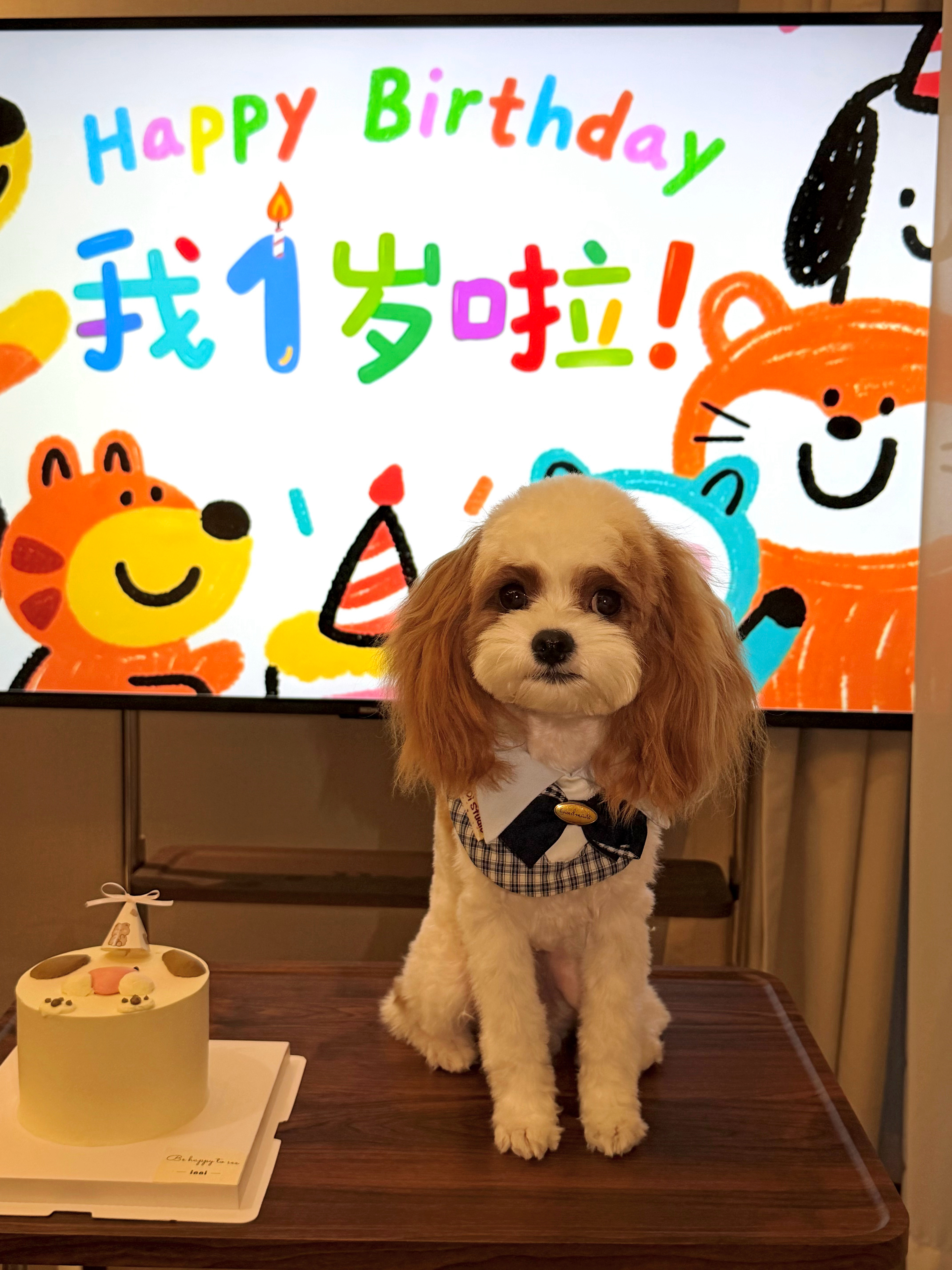 我们OK一岁啦