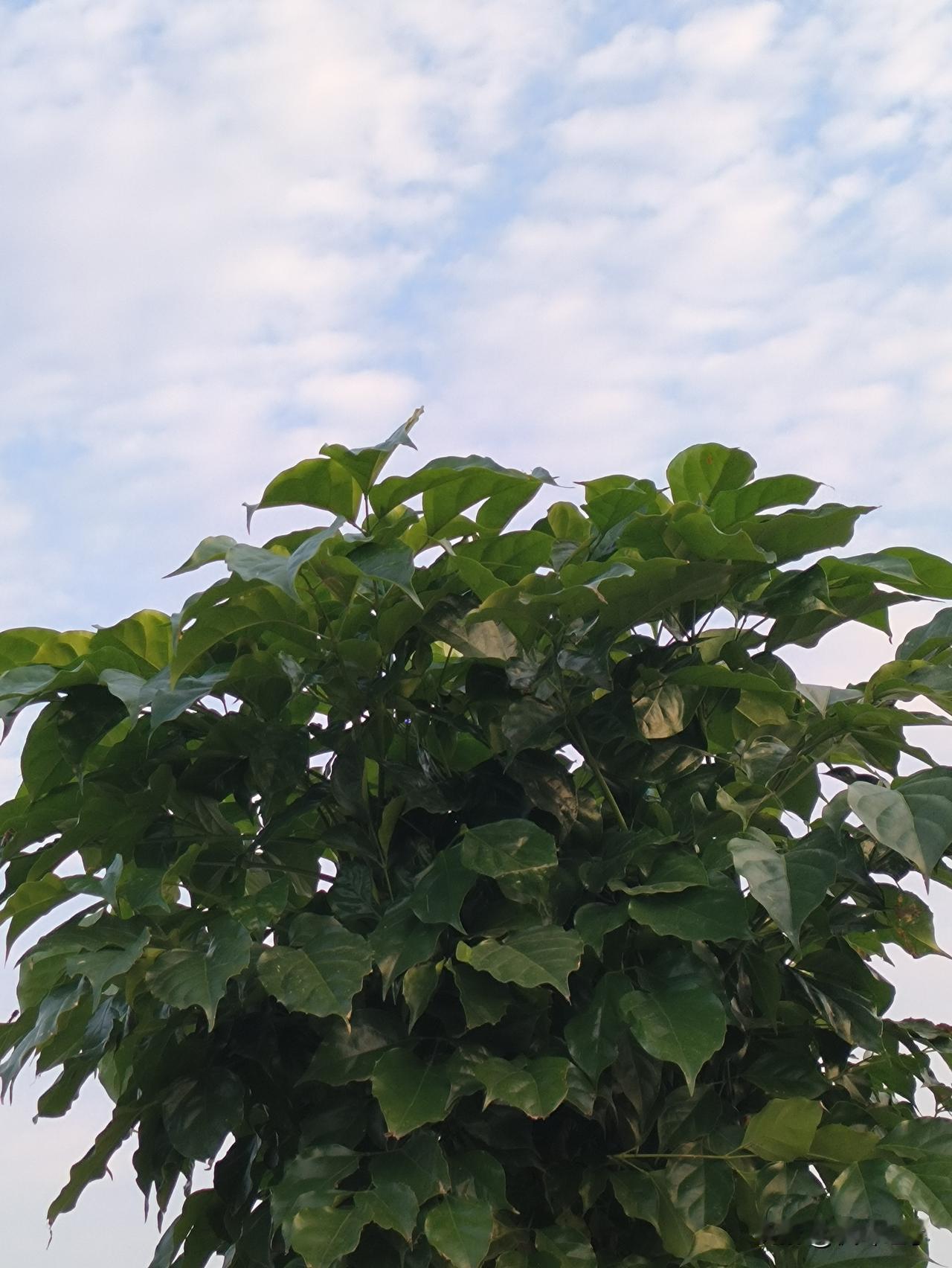 人老一岁，怎么会这么大区别呢？以前只要有节假日，我就会找个兼职活干干，一天也不愿