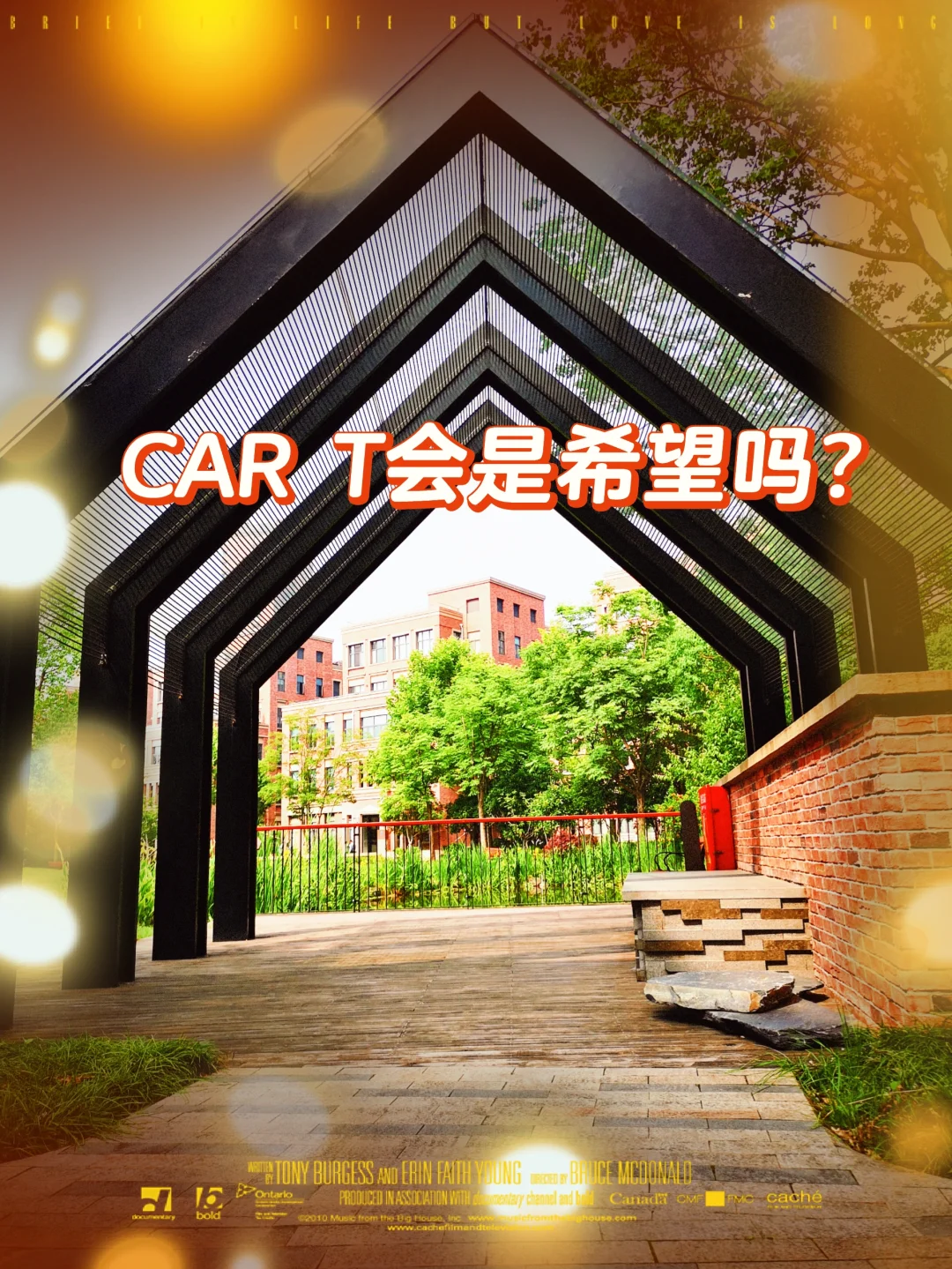 CAR T会是希望吗？