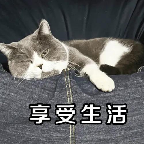 狗狗的通情，它虽然有点懒惰，但享受生活的样子真的很让人感到快乐和满足[赞]