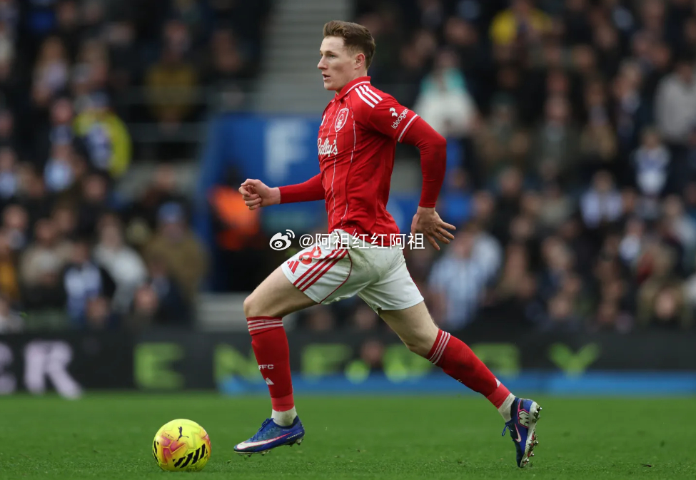 据《太阳报》报道，如果罗德里未与曼城续约，曼城今夏将会考虑引进森林中场埃利奥特安