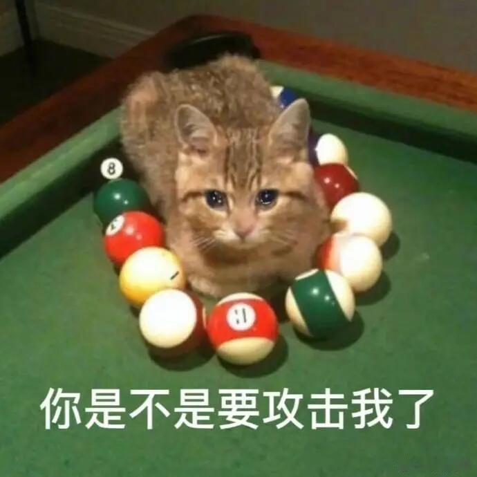 纳指、道指接连刷新历史新高而我2005的姨太，想吃个30點的反弹都成了奢望 