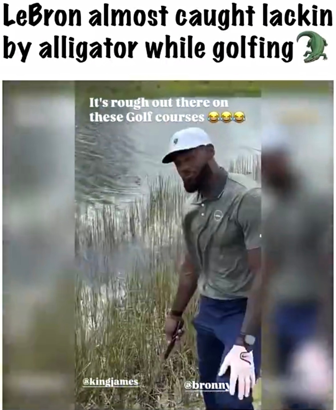 詹姆斯捡高尔夫球，看到了河里的鳄鱼，有点不太敢捡，一旦掉下去，后果不堪设想。不过