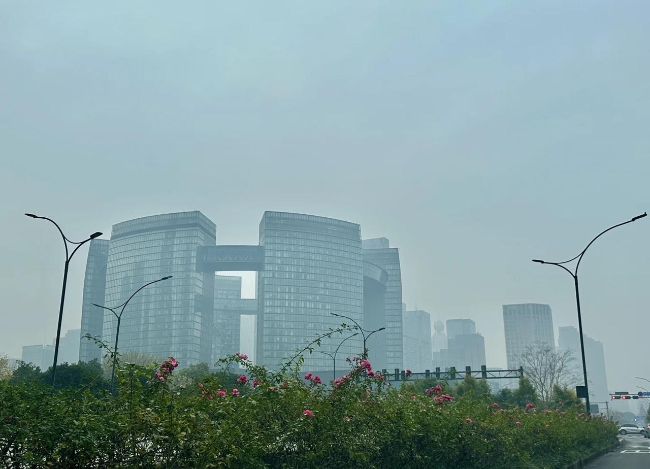 一到晚上整个杭州都是油烟味
最近晚上整个杭州都有一股油烟味。杭州