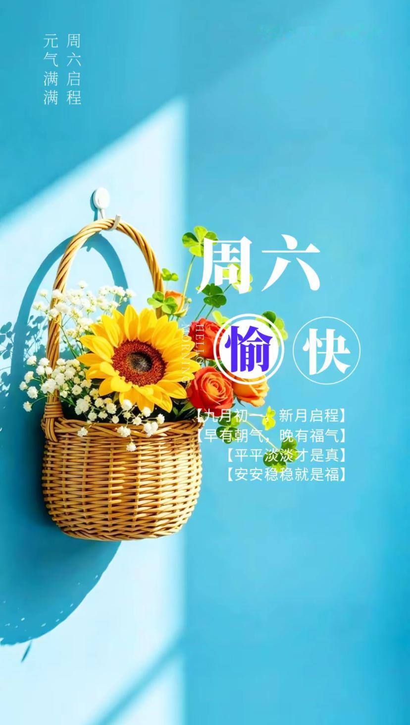 秋晨心语，登高赏菊心舒畅，家有安康福寿长。
2026./10.17.
[微风][