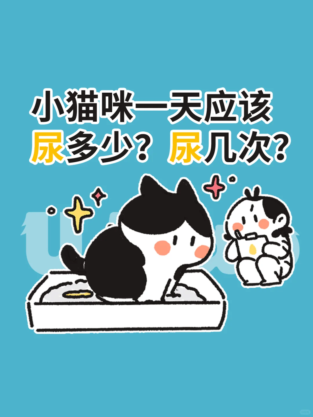 小猫咪一天应该尿多少？尿几次？