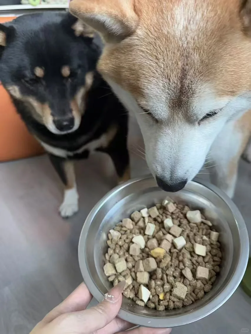 一碗狗粮🉐️端平…