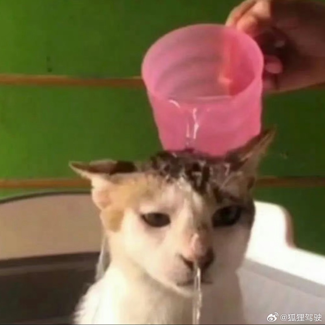 一年365天也就12天发工资十二天发的工资要用一年