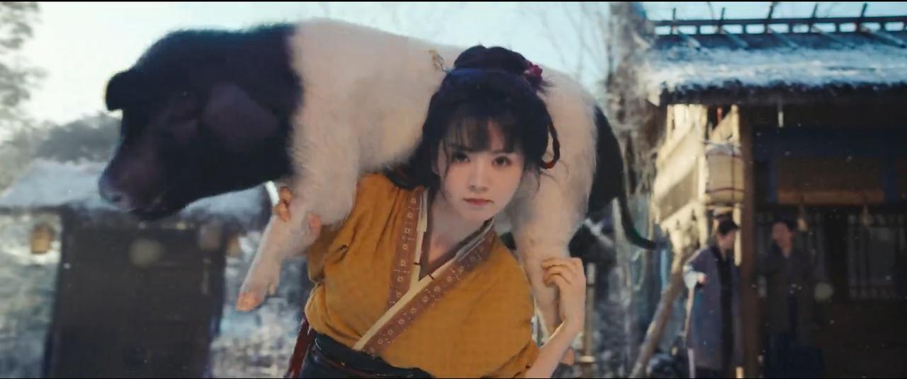 谁家50斤猪崽子就杀了，不得2、300斤再杀吗？降智的古偶，不知道什么人看。