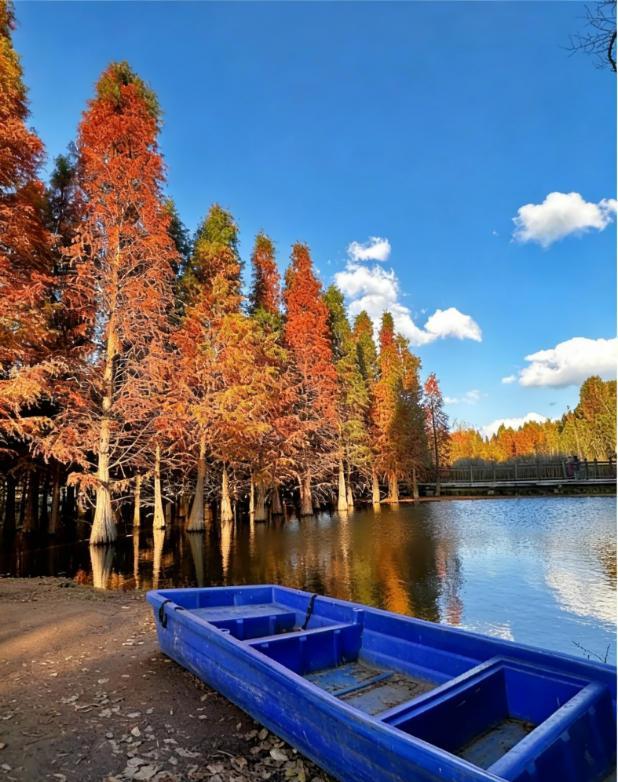 随着年龄增长，身体出现的一些变化似乎变得越来越难以忽视。
从饮食的微妙转变，到心