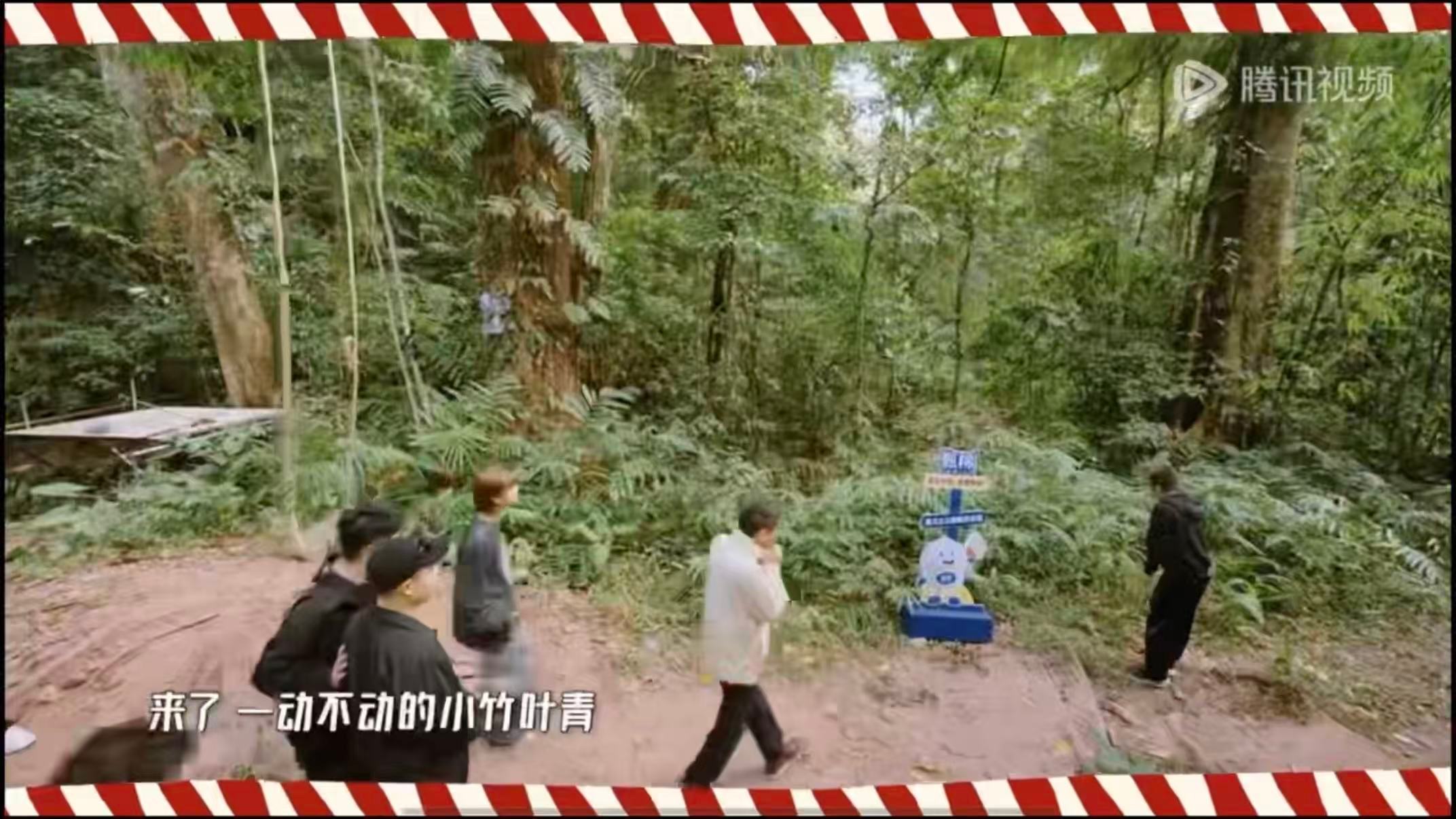 邓超凑齐了一起骗 邓超的整蛊手段太绝，谎称草丛藏着竹叶青，嘉宾们纷纷上当四处查看