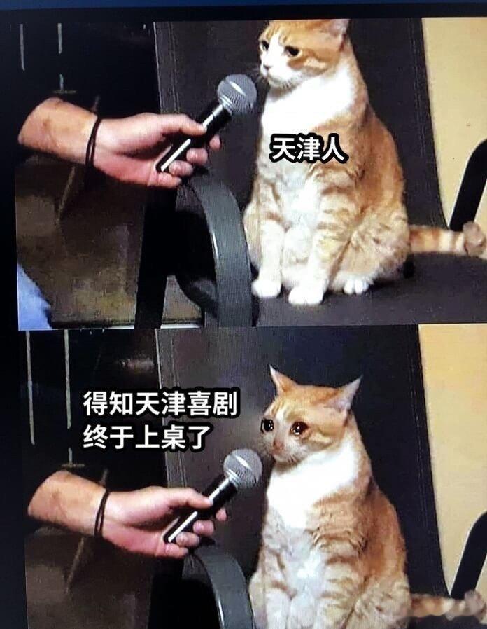 曹保平上影节金爵奖最佳导演 曹保平这波操作简直神了！用津味儿喜剧演绎犯罪故事，这
