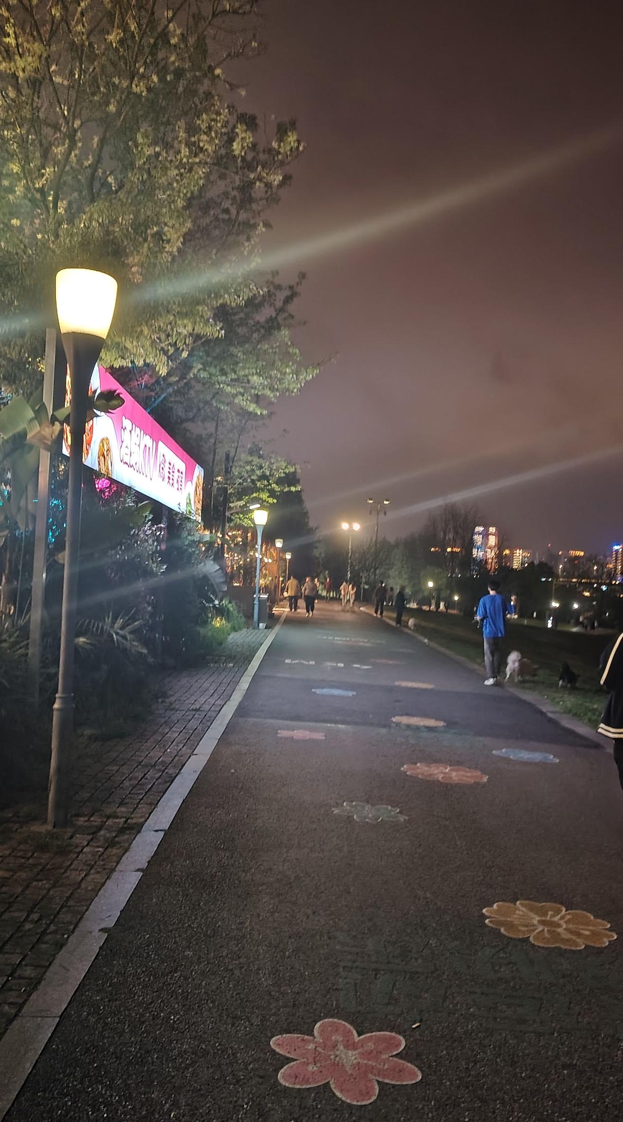 美丽城市夜景随拍