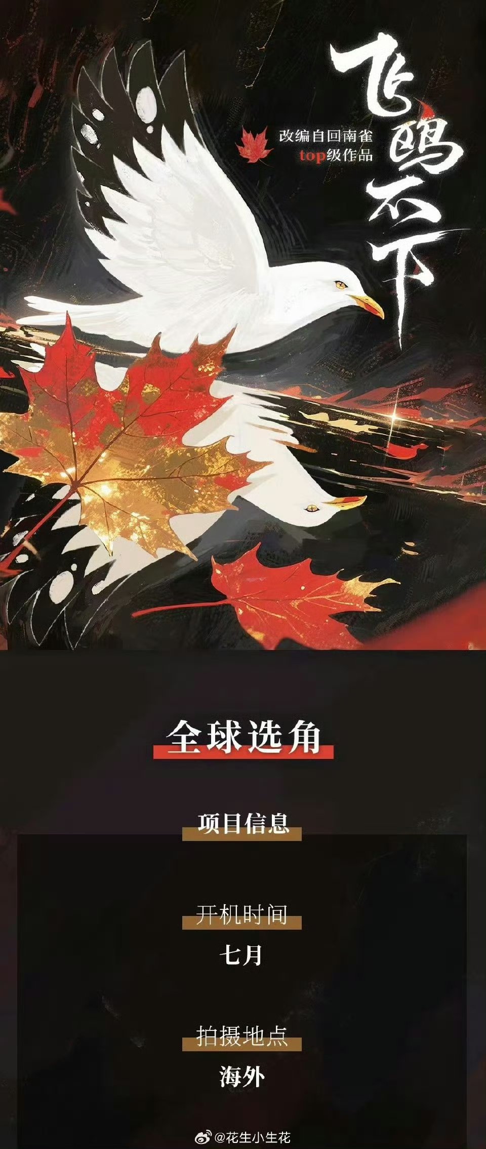 飞鸥不下全球选角 飞鸥不下选角 飞鸥不下选角 