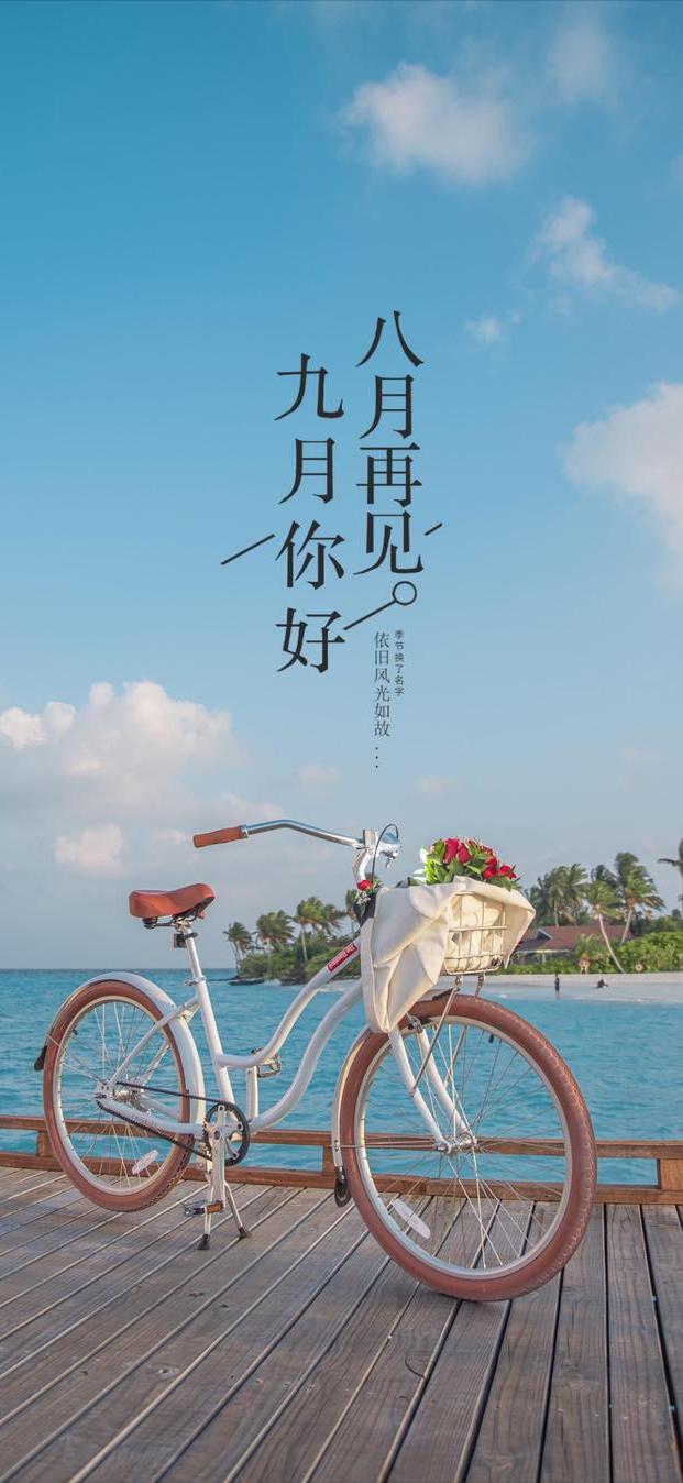 今天是公元2024年8月31日，是8月的最后一天，还有30分钟，我们就将迎来20
