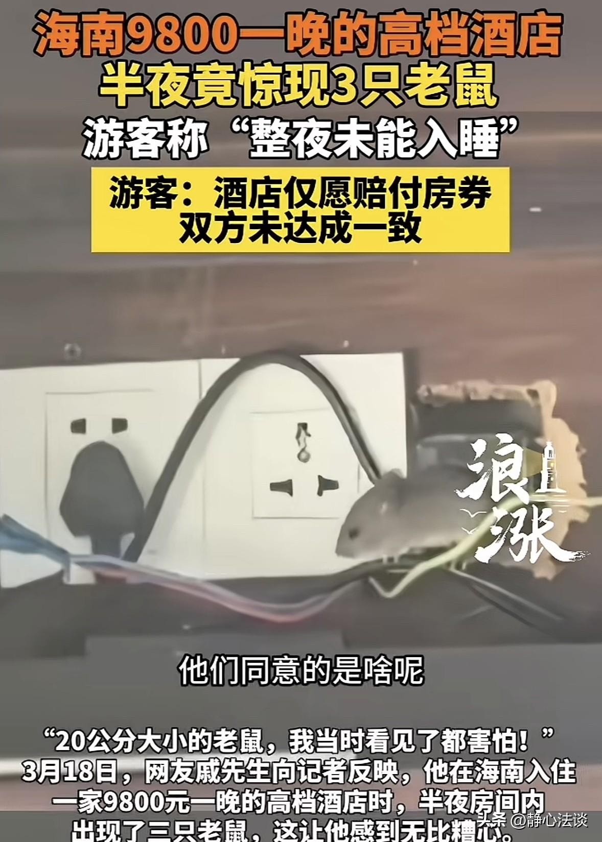 “离了个大谱！”海南，一男子花9800元住酒店，半夜时却突然发现3只老鼠，最大的