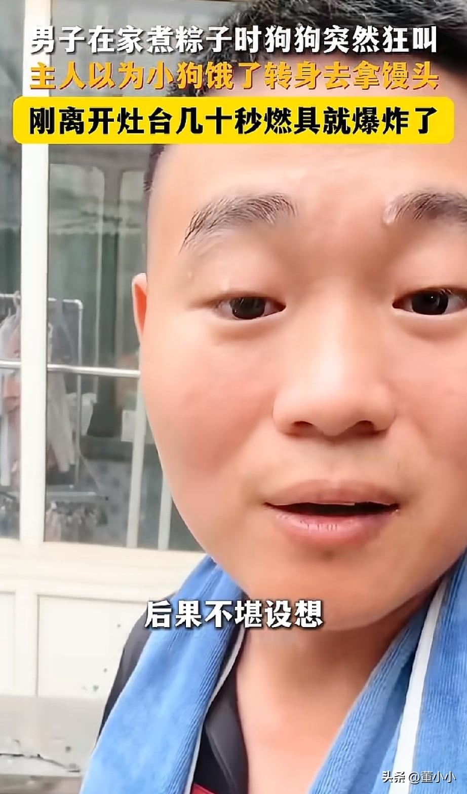 科学无法解释！山东一男子在家里煮粽子，狗狗突然就狂叫起来，男子以为是狗狗饿了，转