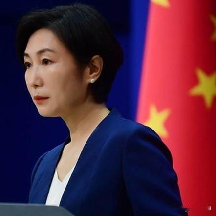 笑话！日菲启动海域划界谈判，谈的却是如何划分中国海域！
      2026年5