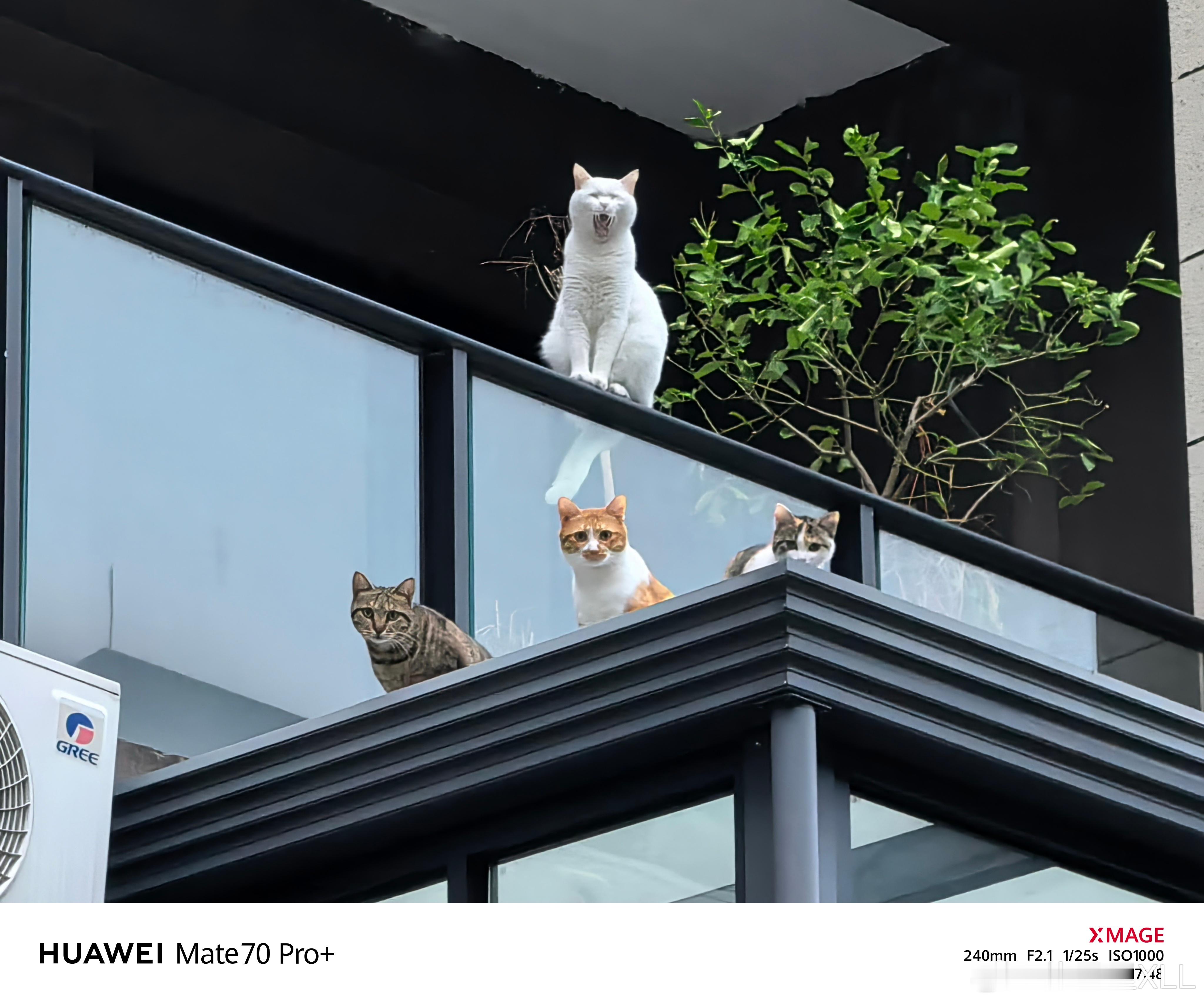 说一下我认为比亚迪最优秀的两台车吧。1、海豹。2、Z9GT。海豹就不用说了，我夸