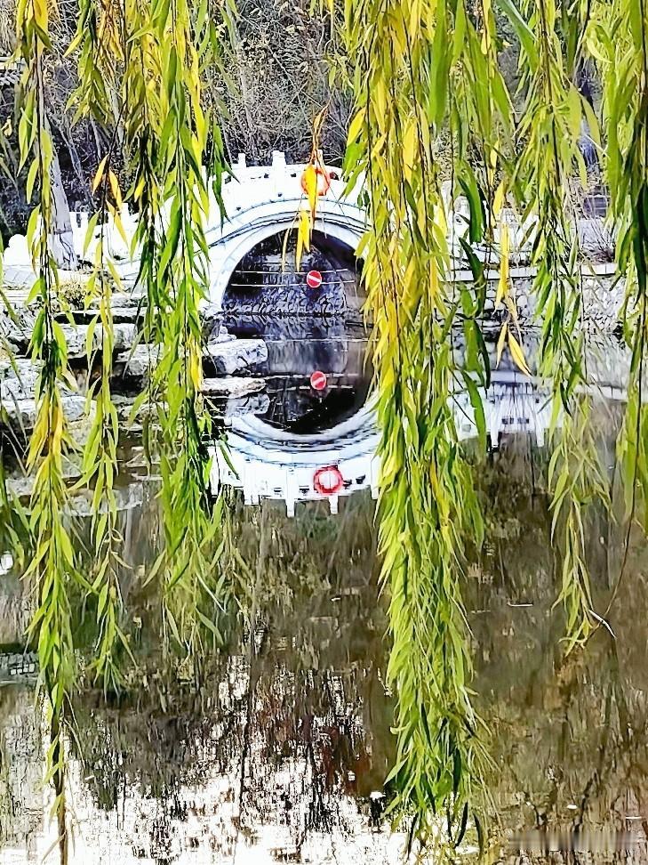 🌊平静的水面
🌿湖边的垂柳

🌫白色的拱桥
❄冬日的景色

👣长安公园里