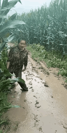 为了流量，我们都“拼了”