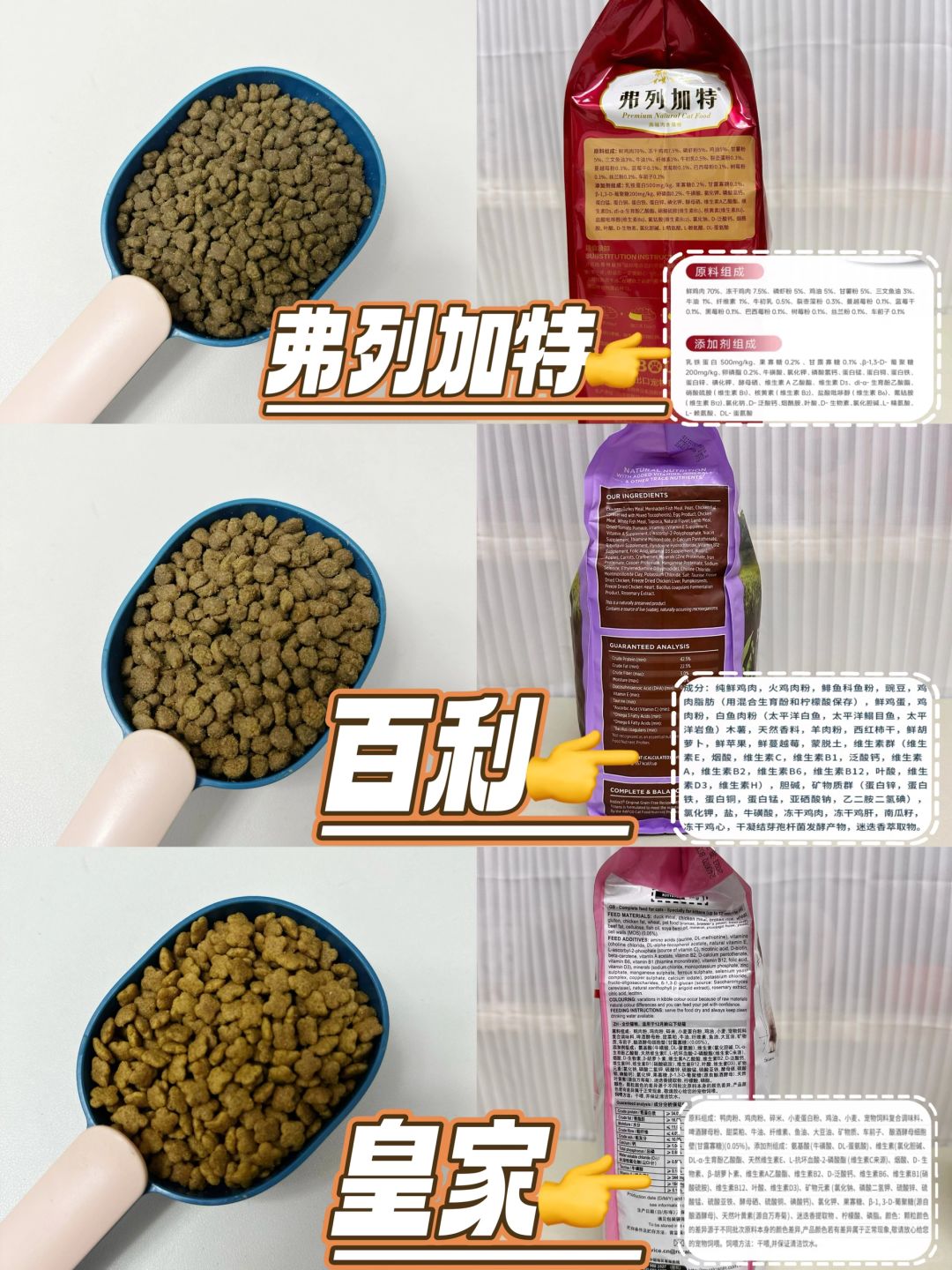 3款热门幼猫粮！自用喂养感受