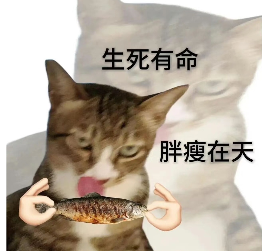 搞笑表情包更新｜我的表情包足够抽象！足够喜欢！！就爱抽象！ 