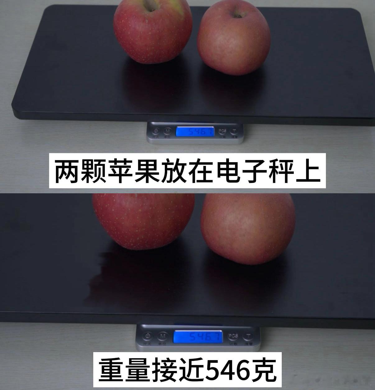 第一次对薄有了新的认知  两个苹果五百多克，一个保温杯接近五百克，一套小学试卷也