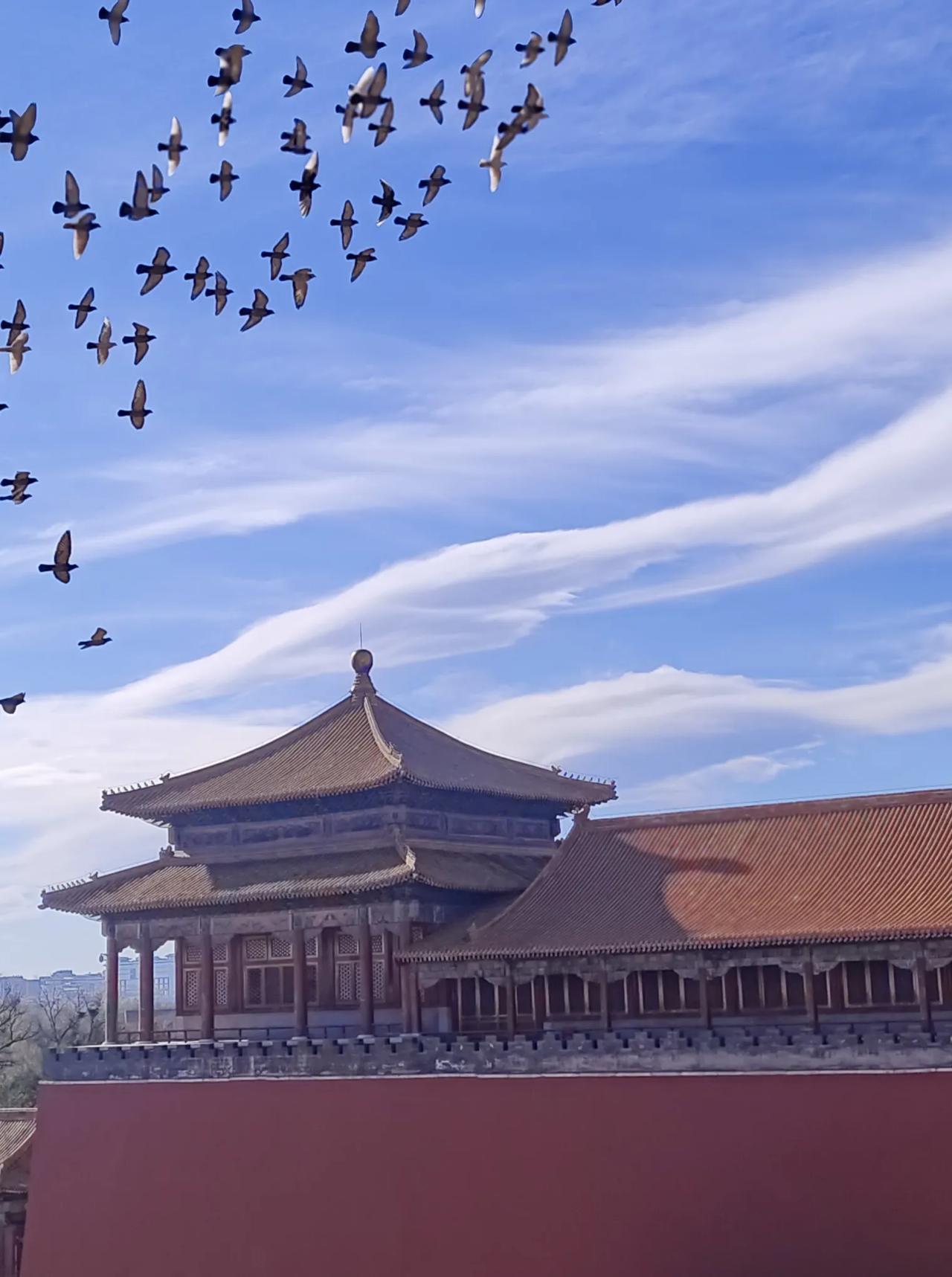 午门上的和平鸽。
故宫午门照片 故宫氛围 游览故宫剪影 现在的北京故宫