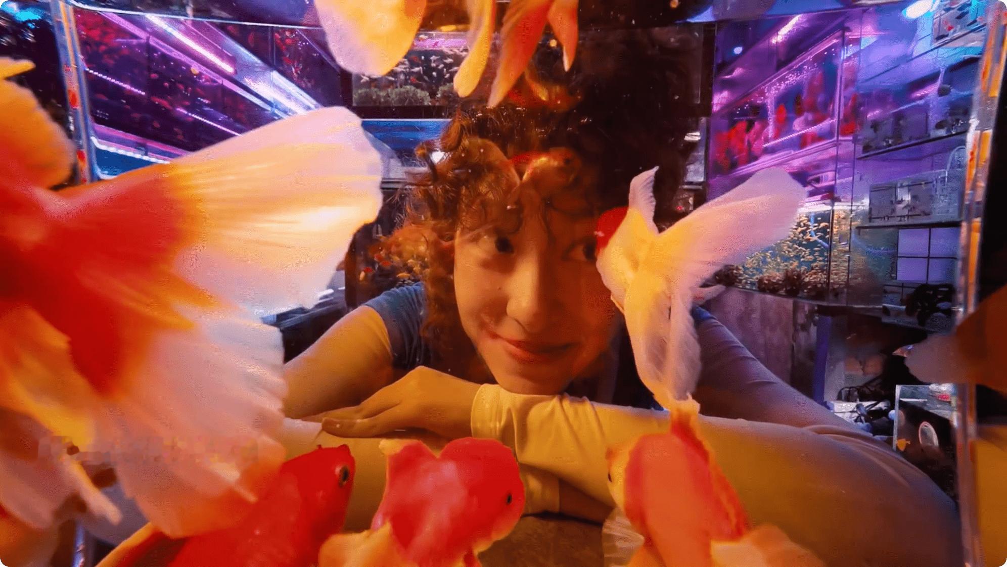 到底藏了多少大招？从长焦微距慢动作到第二代红枫影像，心已经被官方剧透勾走了，太期