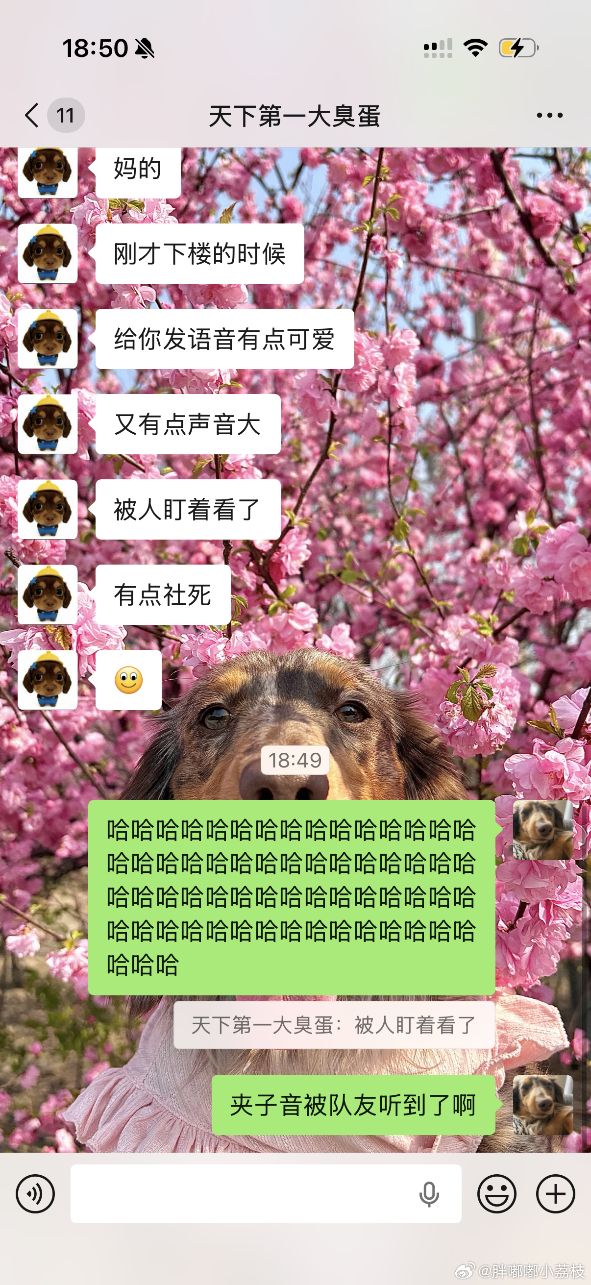 原来猛男给女朋友发语音都得是夹子音