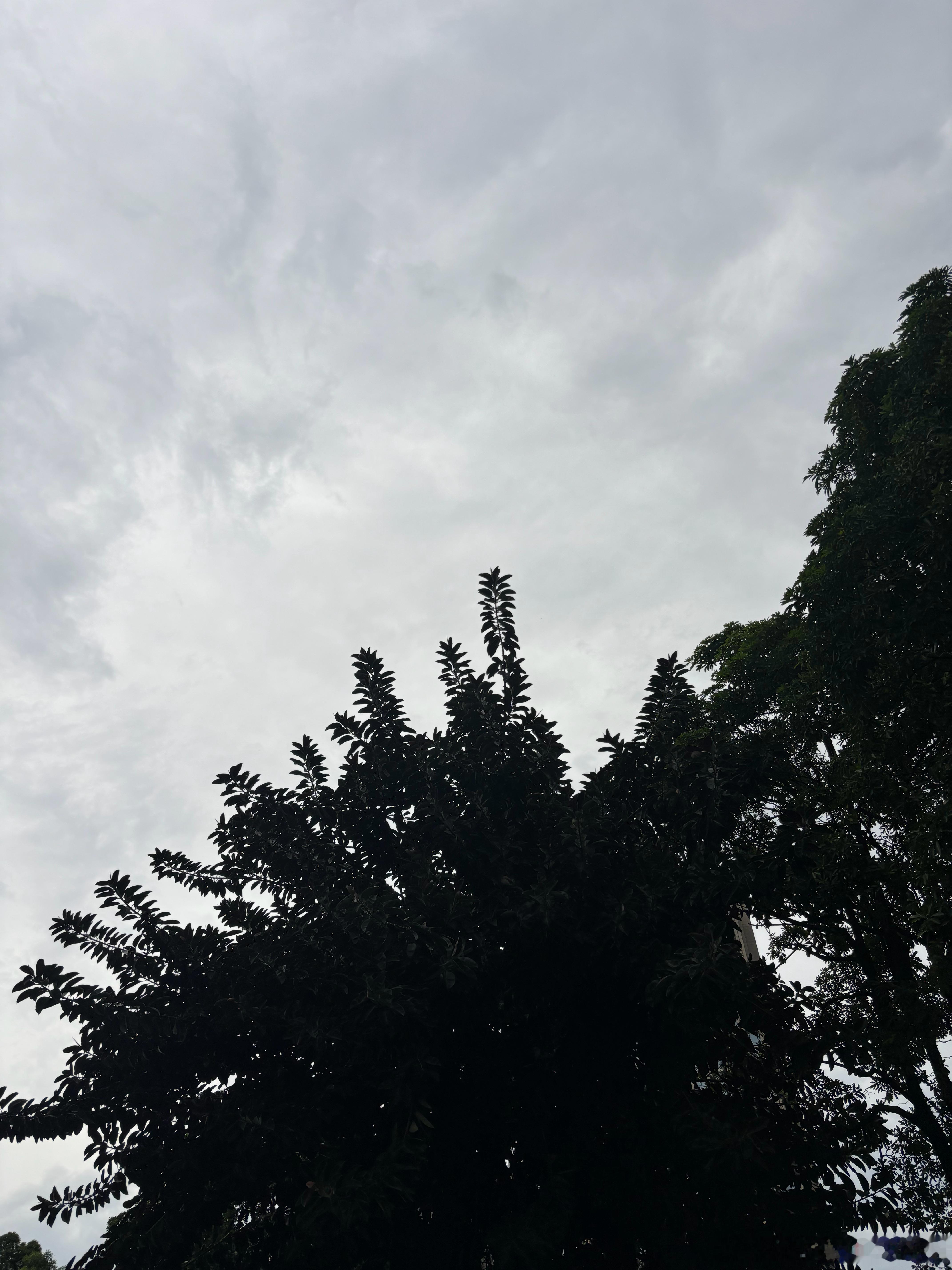 台风红霞小个子暴脾气     中午带娃去商场的时候还是大太阳，等看完一场电影出来