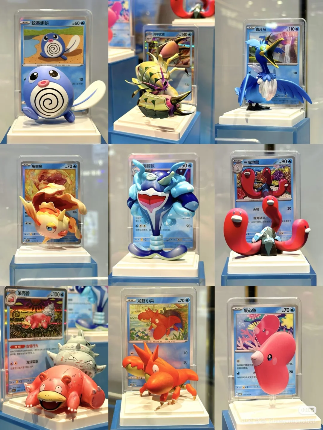 我不行了，相中角金鱼了！