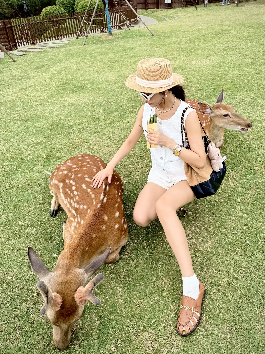 在南京明孝陵长生鹿苑的chanel女孩儿