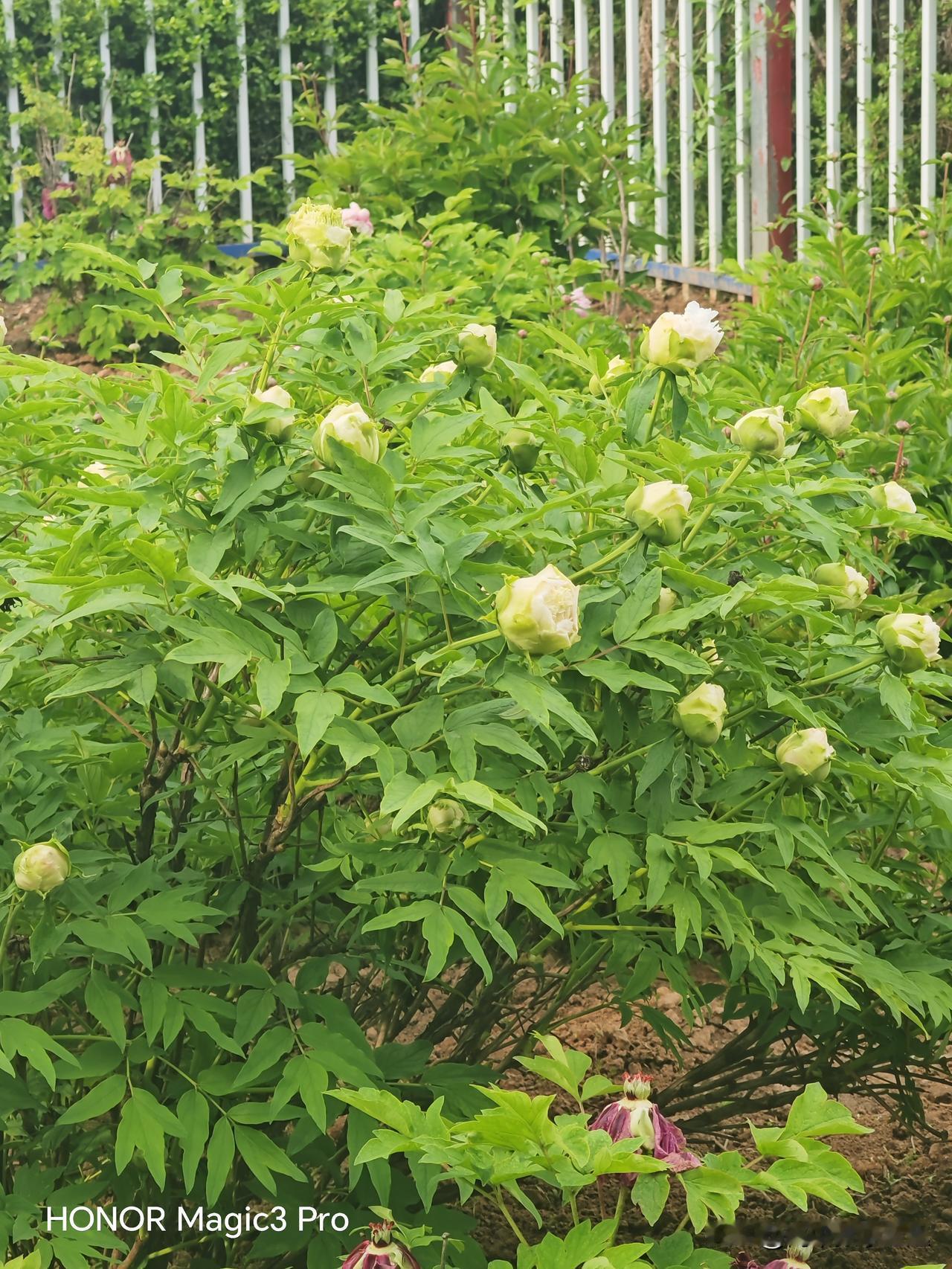 高中最好能上晚自习，因为我们这里的高中生大部分都是住宿生，适当安排晚自习，可以给