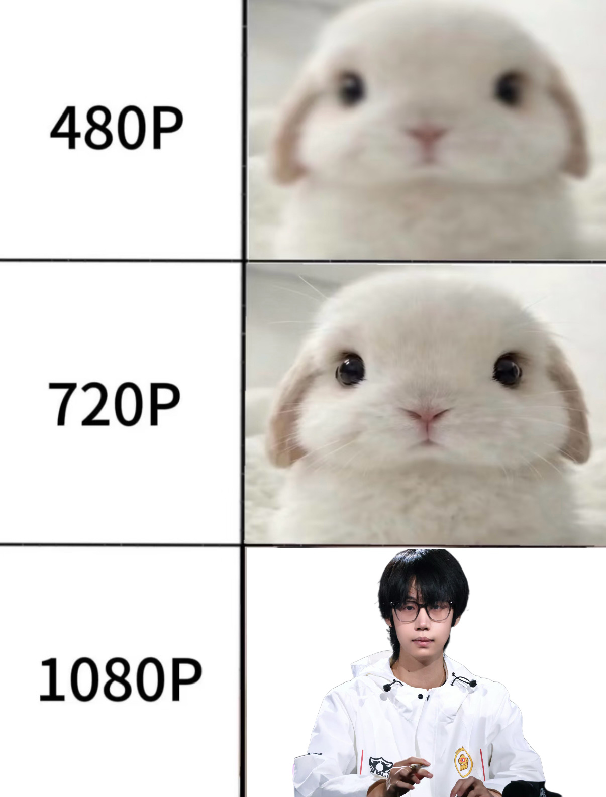 一只兔兔 